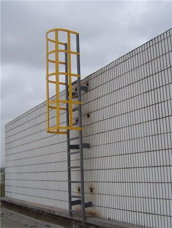 Corrosion Resistance FRP Caged Ladder